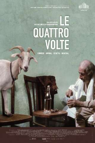 Le quattro volte streaming