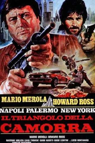 Napoli, Palermo, New York - Il triangolo della camorra streaming