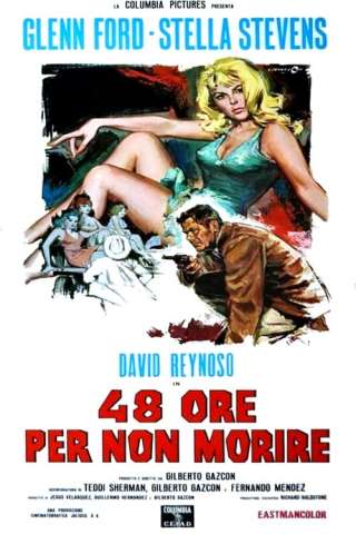 48 ore per non morire streaming