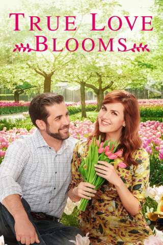 Amore in fiore streaming