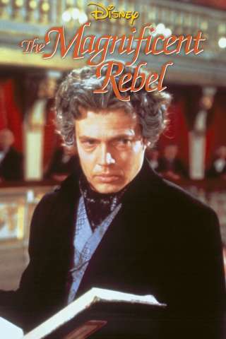 Il magnifico ribelle streaming