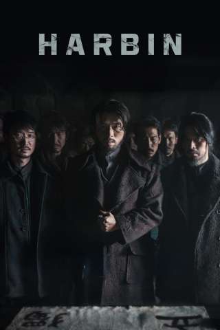 Harbin streaming